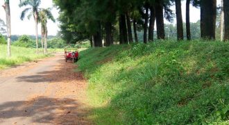 Kavling Amalfi Paramounth Serpong