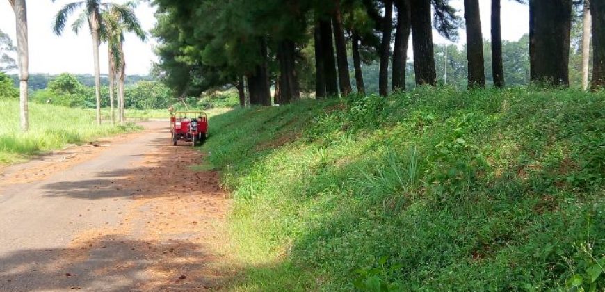 Kavling Amalfi Paramounth Serpong