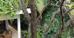 Rumah Dijual