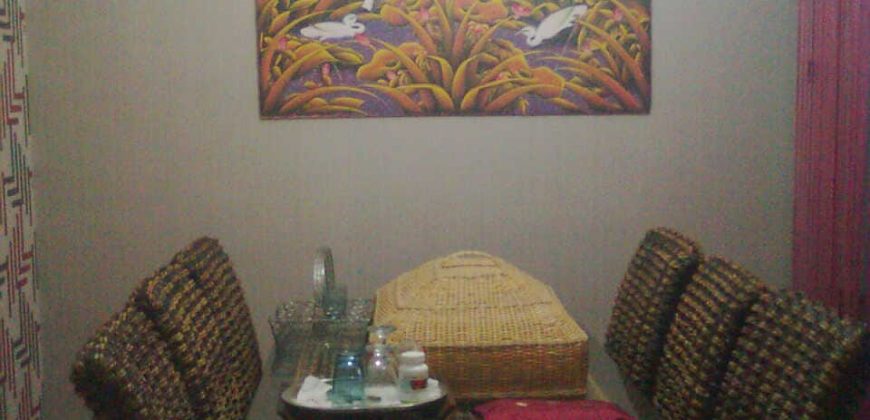Rumah Griya Aster Siap Huni