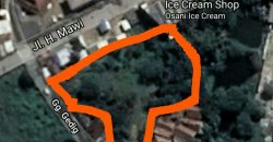 Tanah Kebun Desa Ciseeng Bojong Sempu Parung Bogor Dijual