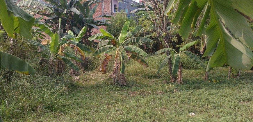Tanah Kebun Desa Ciseeng Bojong Sempu Parung Bogor Dijual