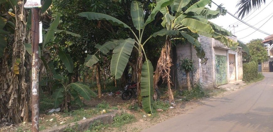 Tanah Kebun Desa Ciseeng Bojong Sempu Parung Bogor Dijual