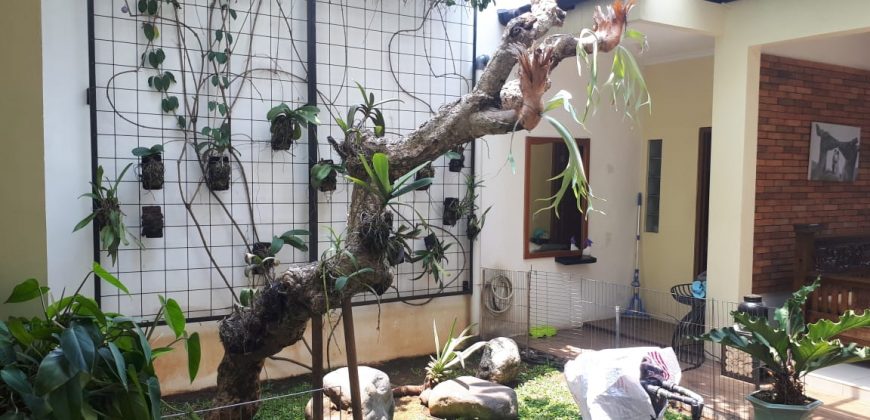 Rumah BSD Avani Cluster Aleeka Tangerang Siap Huni