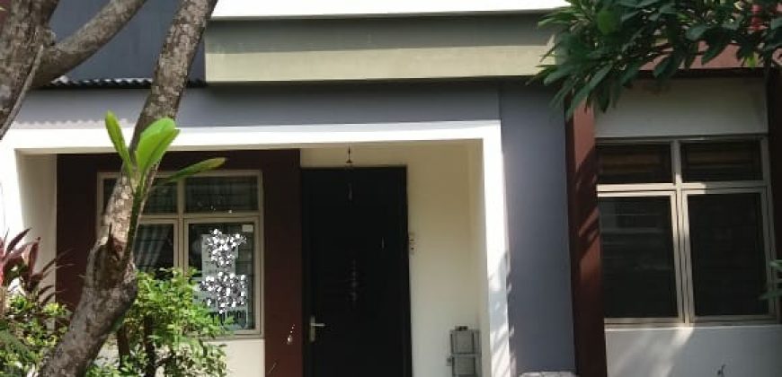 BSD CITY FORESTA NATURALE SIAP HUNI