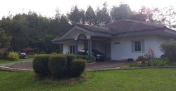 Rumah Villa Coolibah @Puncak Bogor Siap Huni