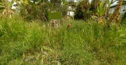 Tanah @Jl.Pedureanan 4 Gunung Sindur Parung Siap Bangun