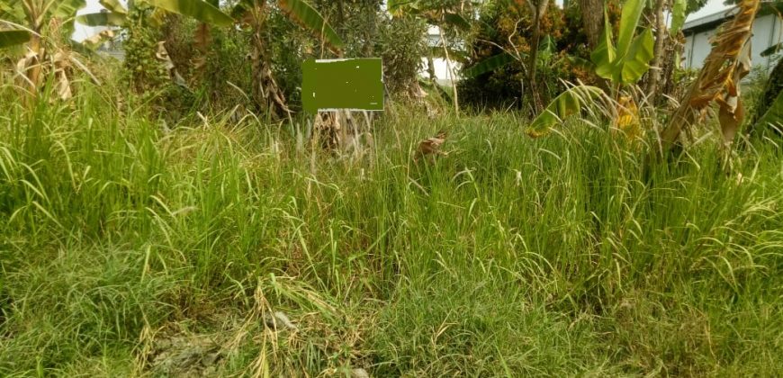 Tanah @Jl.Pedureanan 4 Gunung Sindur Parung Siap Bangun