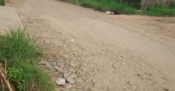 Tanah @Jl.Pedureanan 4 Gunung Sindur Parung Siap Bangun