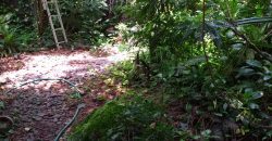 Rumah Permata Lippo Karawaci Siap Huni