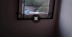 S M Propeerty Apartemen Marina Ancol Jakarta Utara
