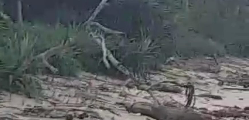 S M Property Tanah Lampung Barat Pesisir Tengah