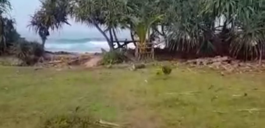 S M Property Tanah Lampung Barat Pesisir Tengah