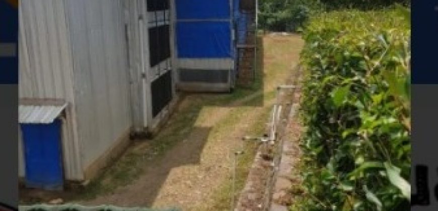 S M Property Ruang Usaha Peternakan Ayam Semi Close House Kiarapedes Purwakarta