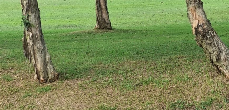 S M Property Tanah Kav Survana Sutera Cluster Puri Ayu Sindang Jaya Tangerang