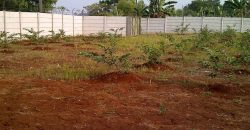S M Property Tanah Serpong Tangerang Selatan