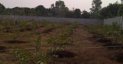 S M Property Tanah Serpong Tangerang Selatan