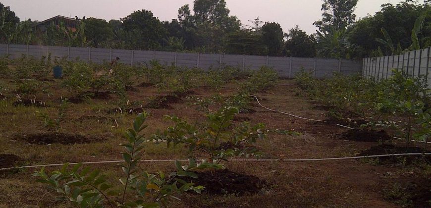 S M Property Tanah Serpong Tangerang Selatan