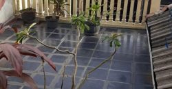 S M Property Rumah Pinang Tangerang