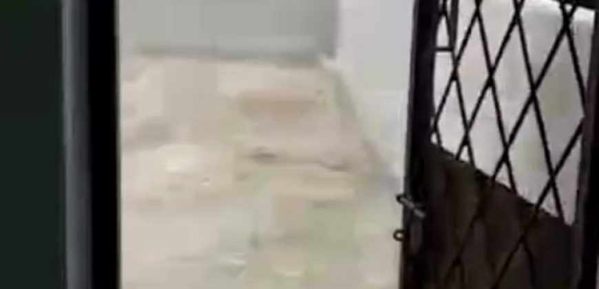 S M Property Ruko Pangeran Tubagus Angke Jakarta Barat