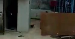 S M Property Ruko Pangeran Tubagus Angke Jakarta Barat
