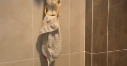 S M Property Apartemen Rainbow Spring Tangerang
