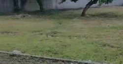 S M Property Tempat Usaha Cimanggis Depok Jawa Barat