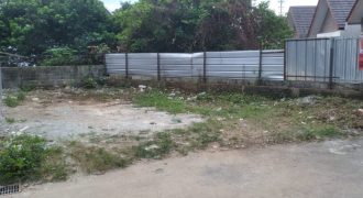 S M Property Tanah Kavling Mango Tree Residence Cipedak Jagakarsa Jakarta Selatan