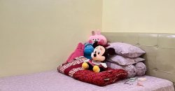 S M Property Rumah Taman Ubud Cempaka Lippo Karawaci Tangerang
