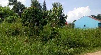 S M Property Tanah Pangkal Lalang Tanjung Pandan Bangka Belitung