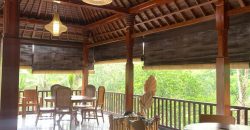 S M Property Villa Kory 2 Tabanan Bali