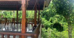 S M Property Villa Kory 2 Tabanan Bali