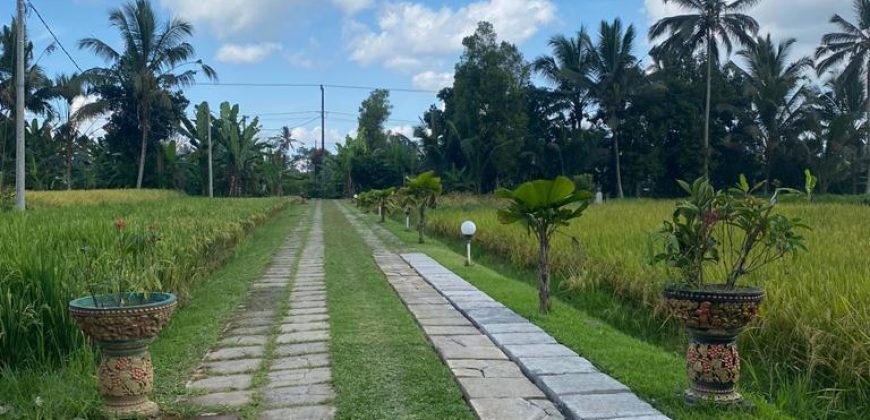 S M Property Villa Kory 2 Tabanan Bali