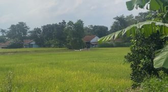 S M Property Tanah Legok Banten Tangerang