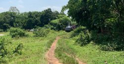 S M Property Tanah Serang Banten