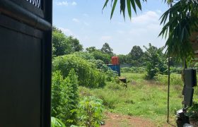 S M Property Tanah Serang Banten