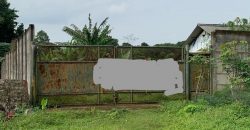 S M Property Tanah Serang Banten