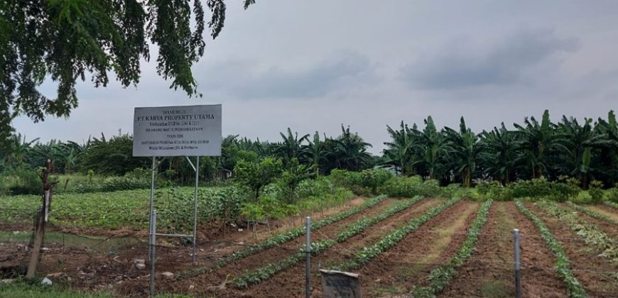 S M Property Tanah Tambun Utara Bekasi Jawa Barat