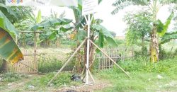 S M Property Tanah Tambun Utara Bekasi Jawa Barat