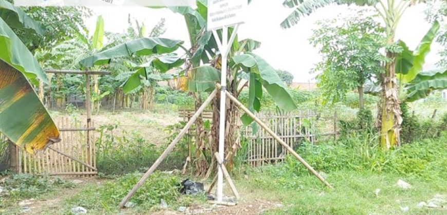 S M Property Tanah Tambun Utara Bekasi Jawa Barat