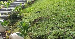 S M Property Rumah Ciomas Harapan Mekar Jaya Bogor