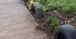 S M Property Rumah Ciomas Harapan Mekar Jaya Bogor