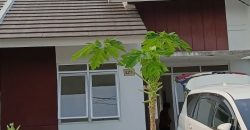 S M Property Rumah Citra Maja Cluster Legian Tangerang