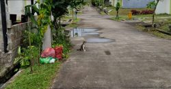 S M Property Rumah Cluster Sanur Citra Maja Lebak Banten Tangerang