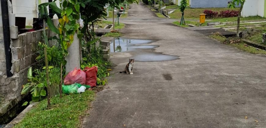S M Property Rumah Cluster Sanur Citra Maja Lebak Banten Tangerang