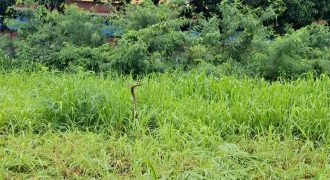 S M Property Tanah Lebak Bulus Cilandak Jakarta Selatan