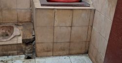 S M Property Tempat Usaha Jalan Raya Kodau Rawabogo Pondok Melati Kota Bekasi Jawa Barat