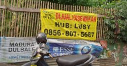 S M Property Tanah Jalan Raya Pandeglang Rangkasbitung