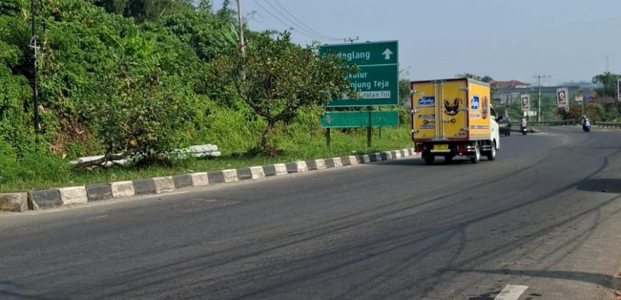 S M Property Tanah Jalan Raya Pandeglang Rangkasbitung
