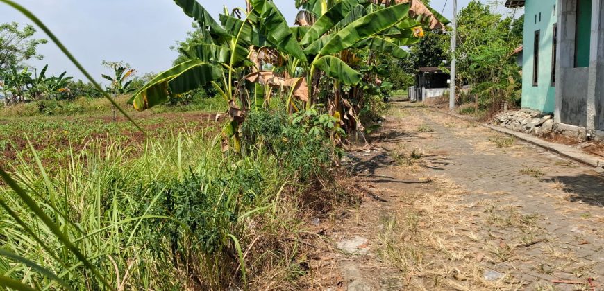 S M Property Tanah Kavling Pasar Kemis Tangerang